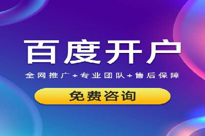 成功案例解读：SEM推广代运营策略